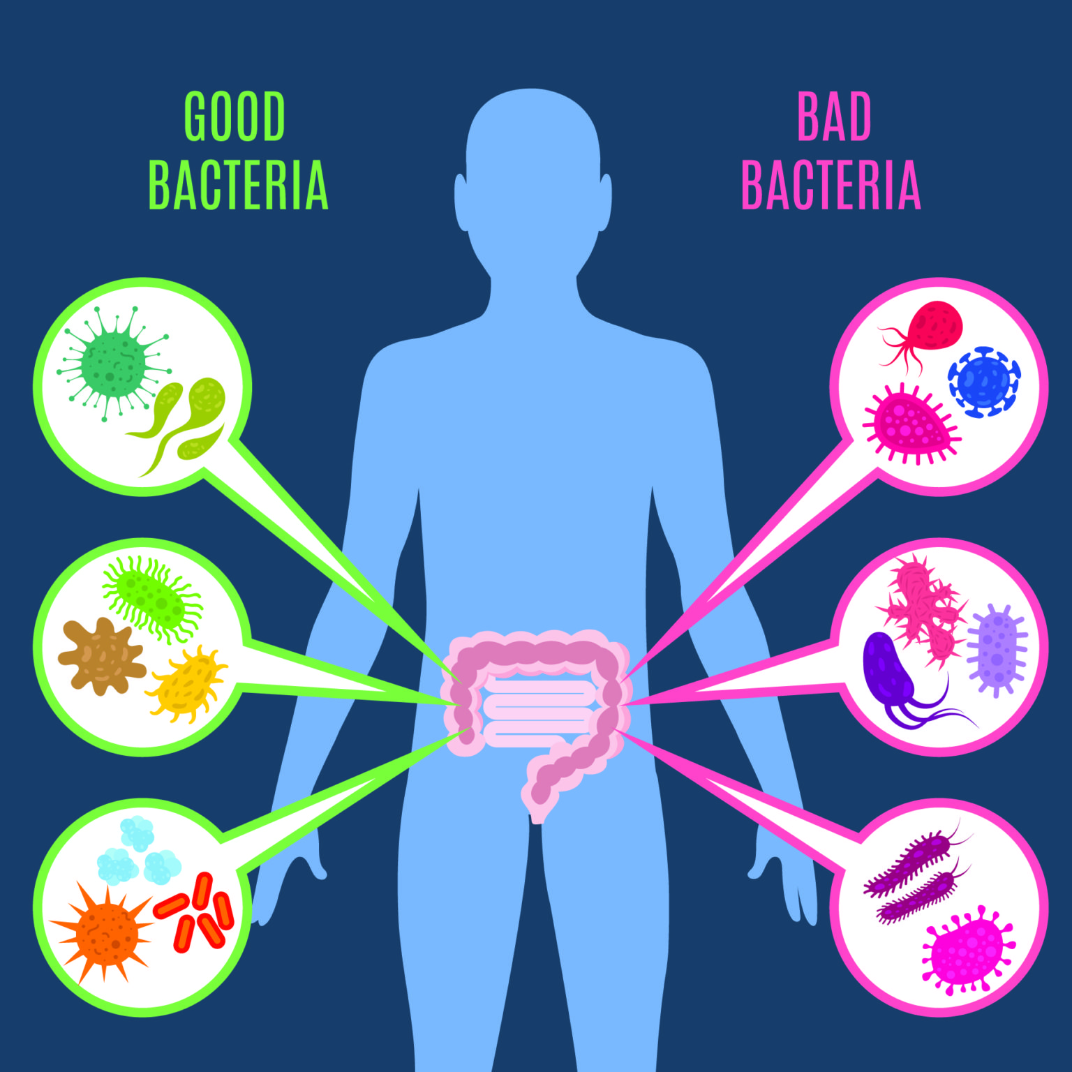 THE RELEVANCE OF BENEFICIAL BACTERIA AND PH pH FocusedpH Focused